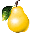 Груша